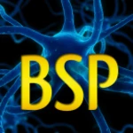 Logo of BrainScience android Application 